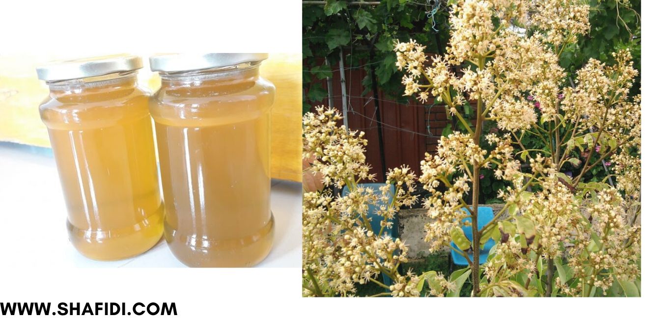 02.SBJEI-FRESH LYCHEE FLOWER HONEY